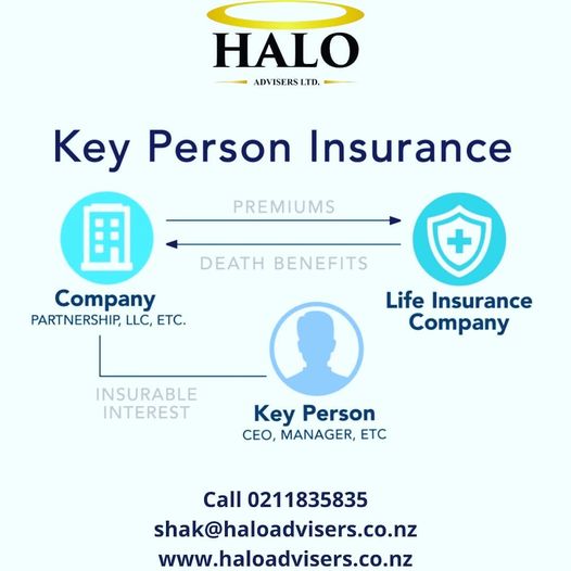 Losing a key person in business is like losing everything! - Key person insurance on North Shore Auckland